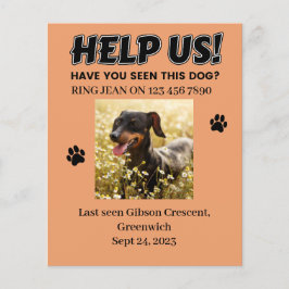 VERLOREN HUNDE FLYER. HELFEN SIE UNS! Ausführliche Flyer