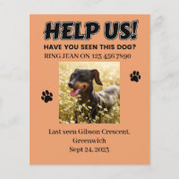 VERLOREN HUNDE FLYER. HELFEN SIE UNS! Ausführliche
