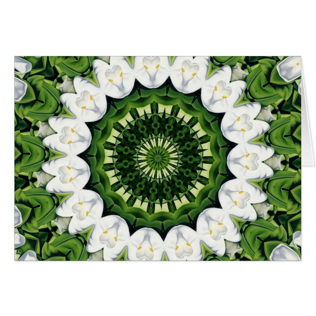 Verloren im Paradies (Vorderseite (Horizontal))