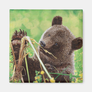 Verloren im Wunder Magnet