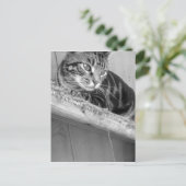 verloren postkarte (Stehend Vorderseite)