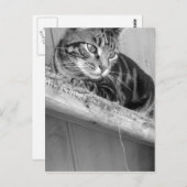 verloren postkarte (Vorne/Hinten)