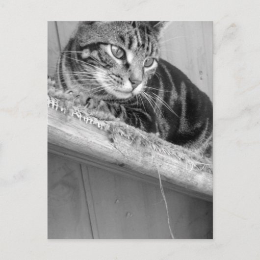 verloren postkarte (Vorderseite)