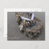 verloren und gefunden postkarte (Vorne/Hinten)