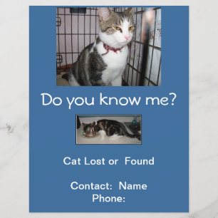 Verlorene oder gefundene Katze Briefkasten Flyer