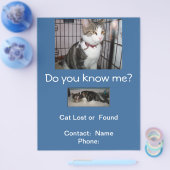 Verlorene oder gefundene Katze Briefkasten Flyer (Einzeln)