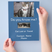 Verlorene oder gefundene Katze Briefkasten Flyer (Hand)