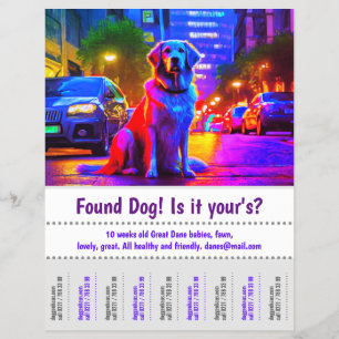 Verlorener Hund Grafikdesign Poster Flyer