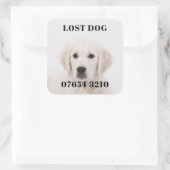 Verlorener Hund Quadratischer Aufkleber (Tasche)