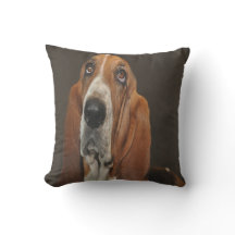 Verlorenes Basset-Hund
