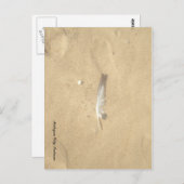 verlorenes Feather Postkarte (Vorne/Hinten)