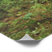 Verlorenes Poster (1.0) (Ecke)