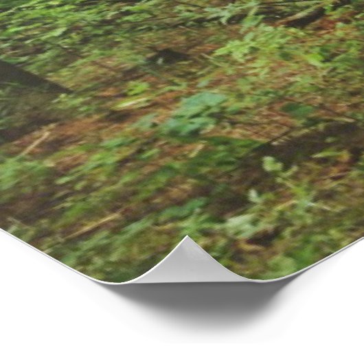 Verlorenes Poster (1.0) (Ecke)