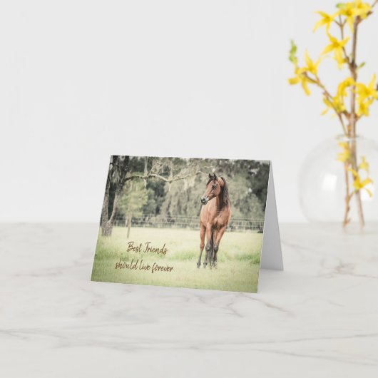 Verlust der arabischen Botschaft Karte (Gelbe Blume)