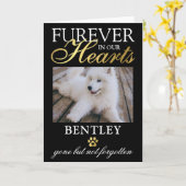 Verlust der Sympathiekarte für Haustiere Karte (Gelbe Blume)