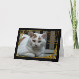 Verlust des Beileids der Katzenkarte Karte