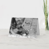 Verlust des Beileids eines Begleiters Karte (Rückseite)