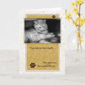 Verlust des Beileids von Katzengelb und Schwarzen  Karte (Gelbe Blume)