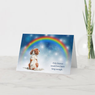 Verlust einer Cavalier King Charles Spaniel Nachtl Feiertagskarte