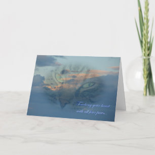 Verlust einer Katze. Verlust eines Haustieres. Bei Karte