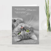 Verlust eines Beileids für Katzen Karte (Vorderseite)