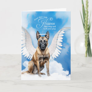Verlust eines belgischen Hundes Malinois Angel Pet Karte