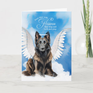 Verlust eines belgischen Hundes Tervuren Angel Pet Karte