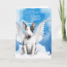 Verlust eines Bull Terrier Dog Angel Beileid