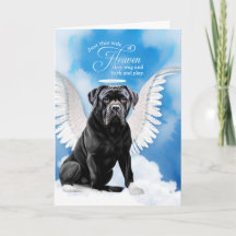 Verlust eines Cane Corso Dog Angel Beileid