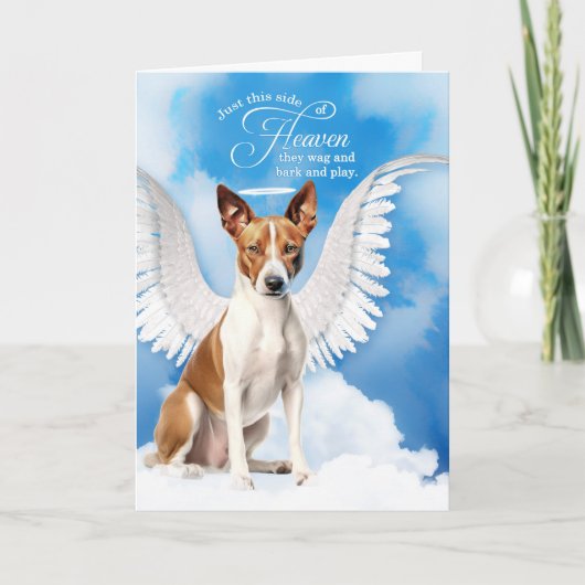 Verlust eines Hundes Basenji Angel Beileid Karte (Vorderseite)