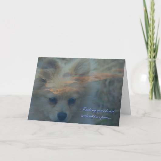 Verlust eines Hundes. Verlust eines Haustieres. Be Karte (Vorderseite)