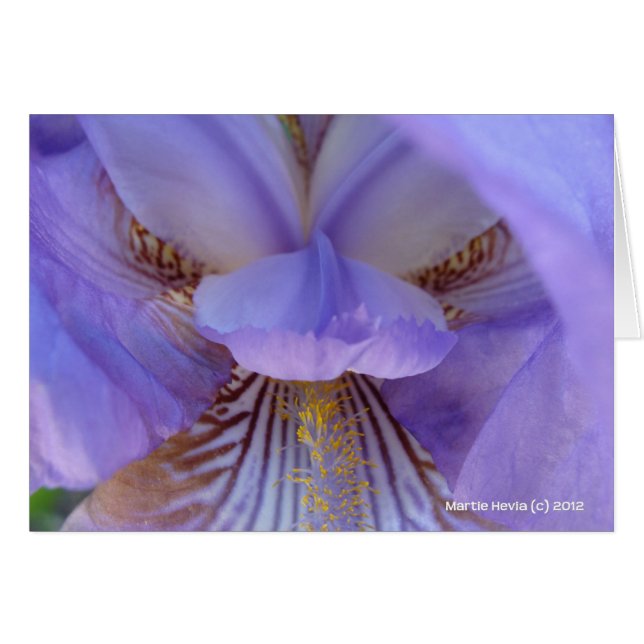 Verlust im Traum (Vorderseite (Horizontal))