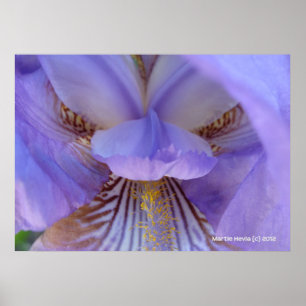 Verlust im Traum Poster