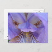 Verlust im Traum Postkarte (Vorne/Hinten)