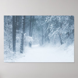 Verlust in einem magischen Wald Poster