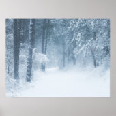 Verlust in einem magischen Wald Poster (Vorne)
