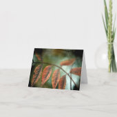 Verlust Karte (Vorderseite)