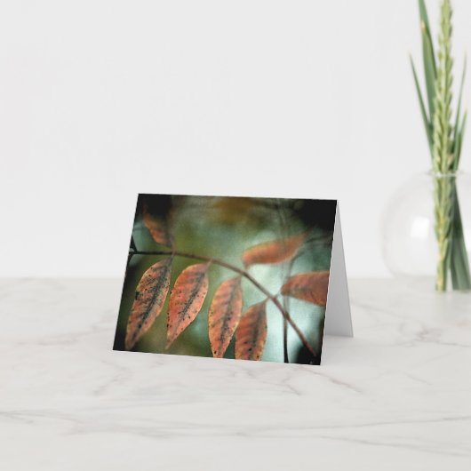 Verlust Karte (Vorderseite)