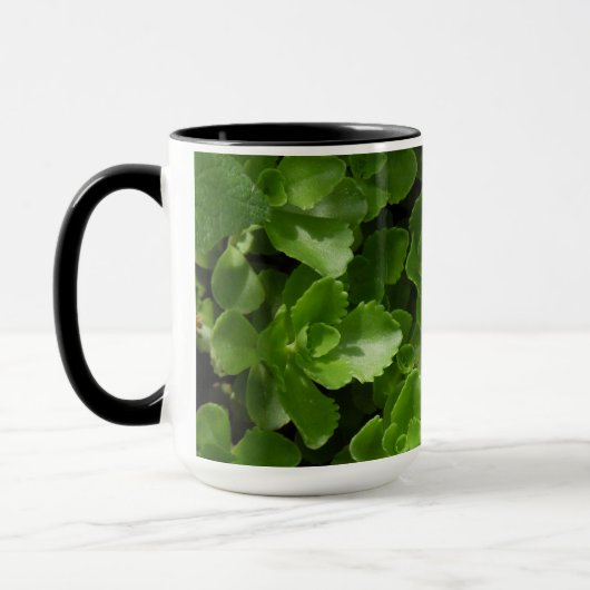 Verlust von Blätter Tasse (Links)