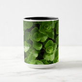 Verlust von Blätter Tasse (Zentrum)