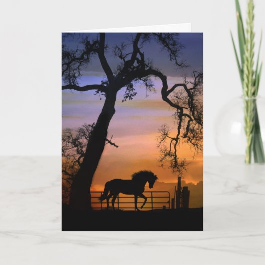 Verlust von Pferden, Horse Sympathy Cards Karte (Vorderseite)