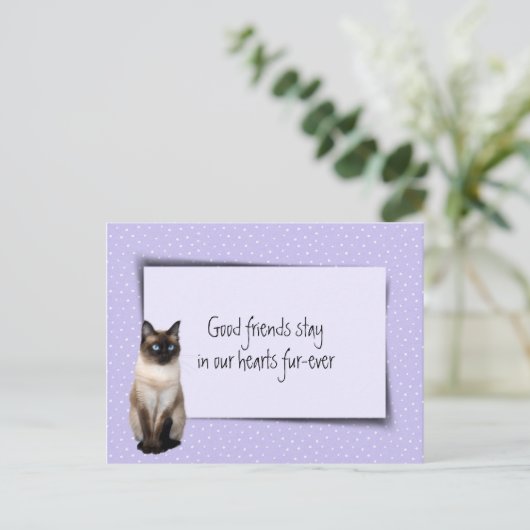 Verlust von Siamkatzen durch Tierärzte Postkarte (Stehend Vorderseite)