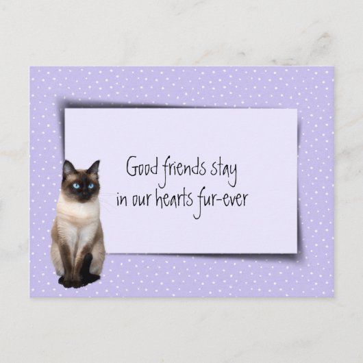 Verlust von Siamkatzen durch Tierärzte Postkarte (Vorderseite)