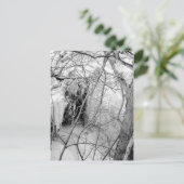 Vermilion Falls Postcard Postkarte (Stehend Vorderseite)