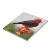 Vermilion Flycatcher auf Rose Fliese (Seite)