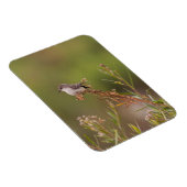 Vermilion Flycatcher Magnet (Rechte Seite)