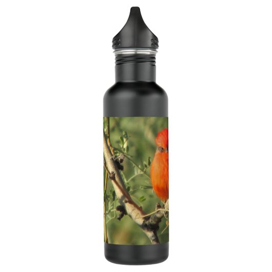 Vermilion Flycatcher Trinkflasche (Links)