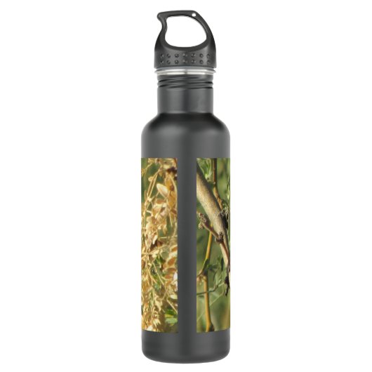 Vermilion Flycatcher Trinkflasche (Rückseite)