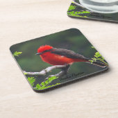 Vermilion Flycatcher Untersetzer (Linke Seite)