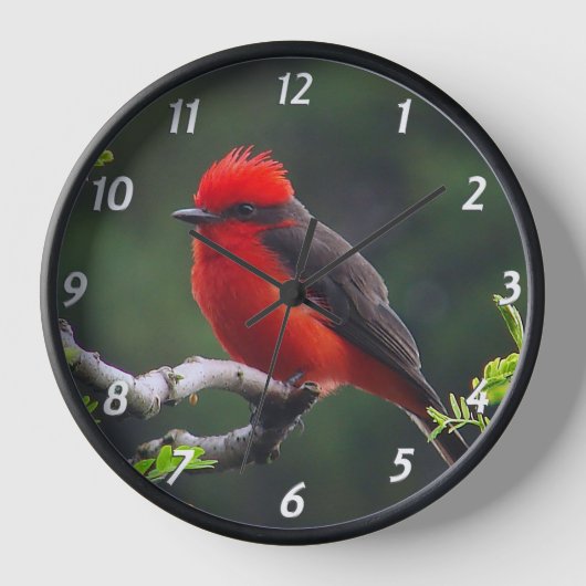 Vermilion Flycatcher Wall Clock Wanduhr (Vorderseite)